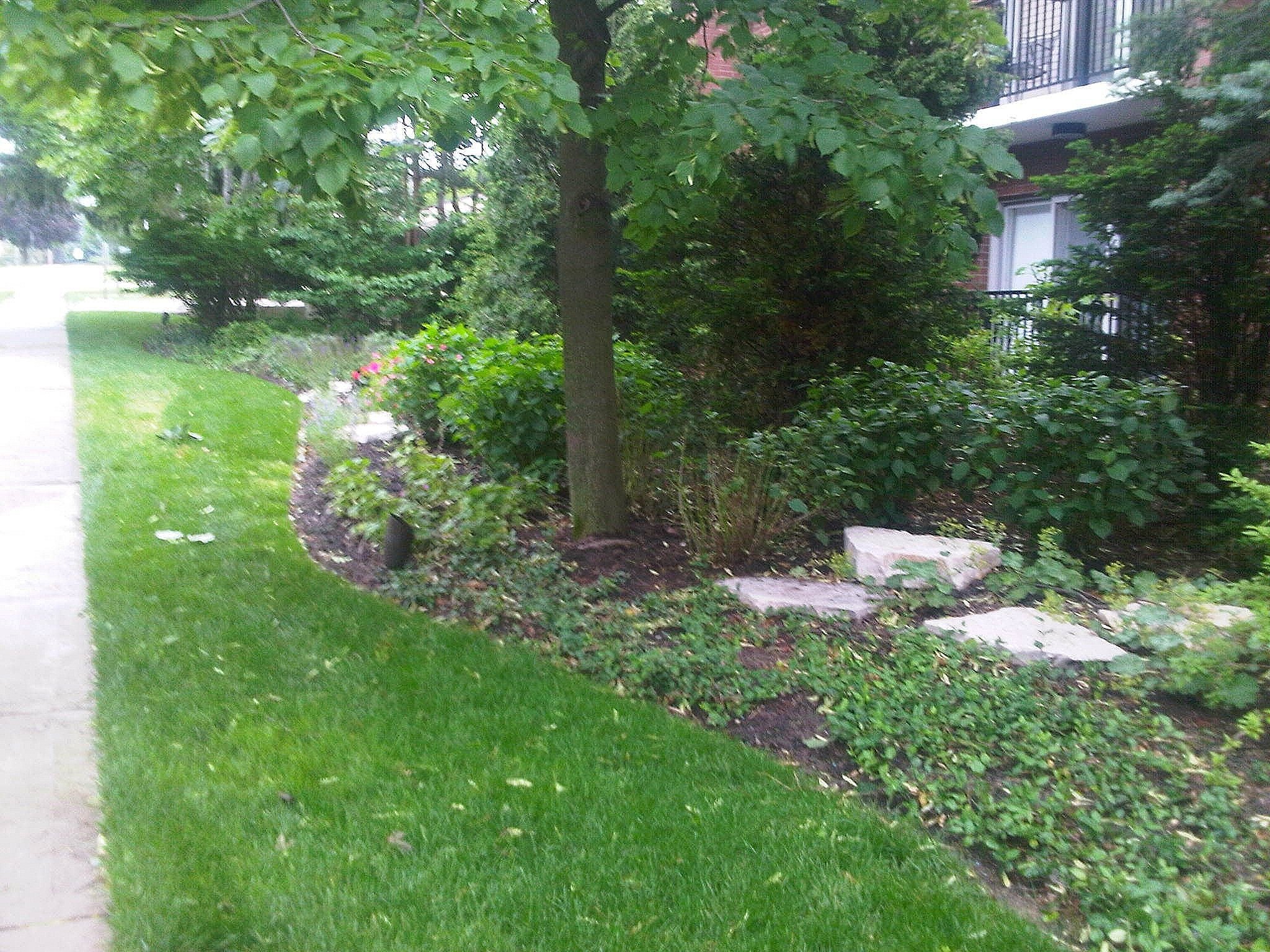 Comprehensive Landscape Design and Premium Lawn Care in Lake Forest, IL 