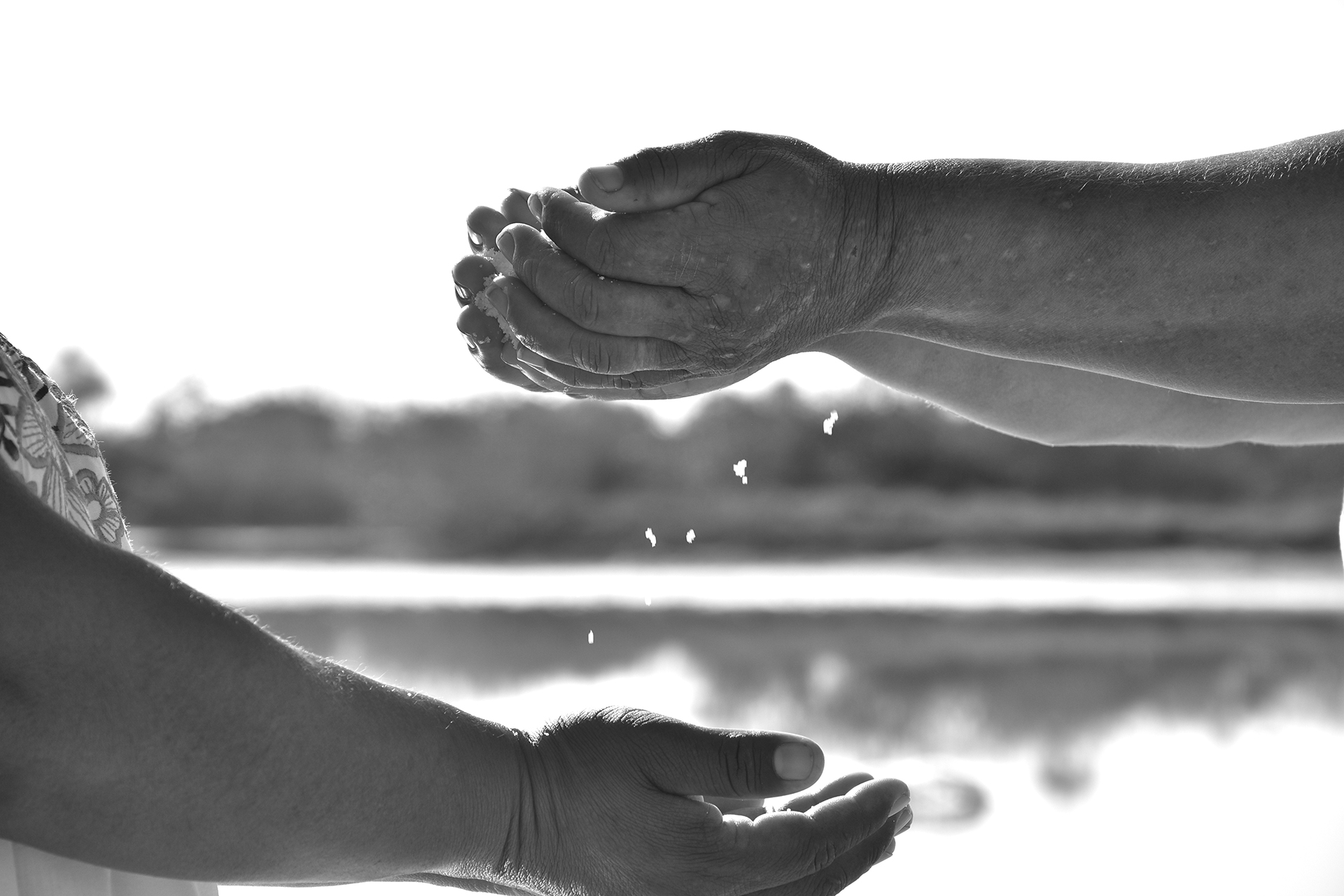 guardianas de la sal.jpg