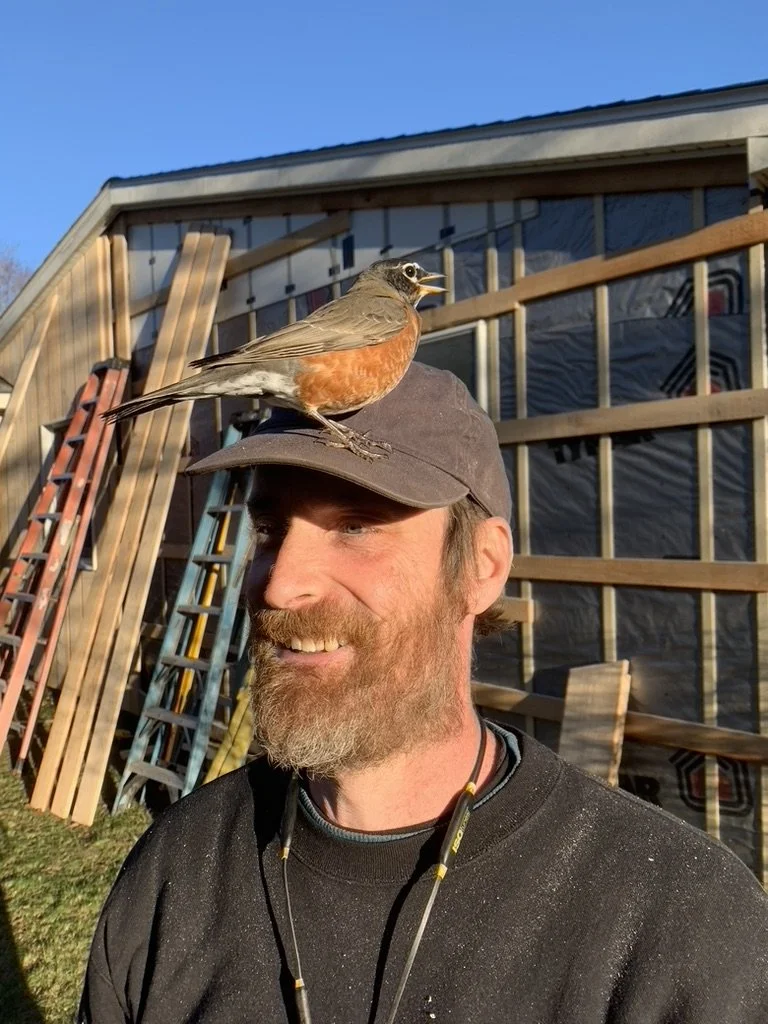  (no birds were harmed in this renovation) 