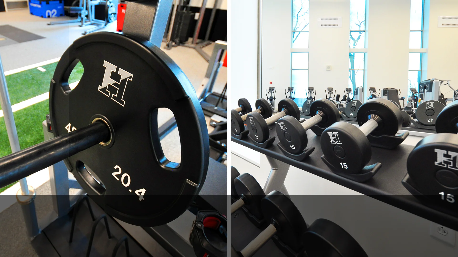 UMAX Dumbbells + Bumpers