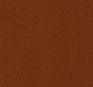 Manzanita