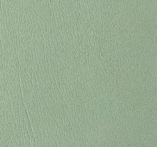 Seafoam