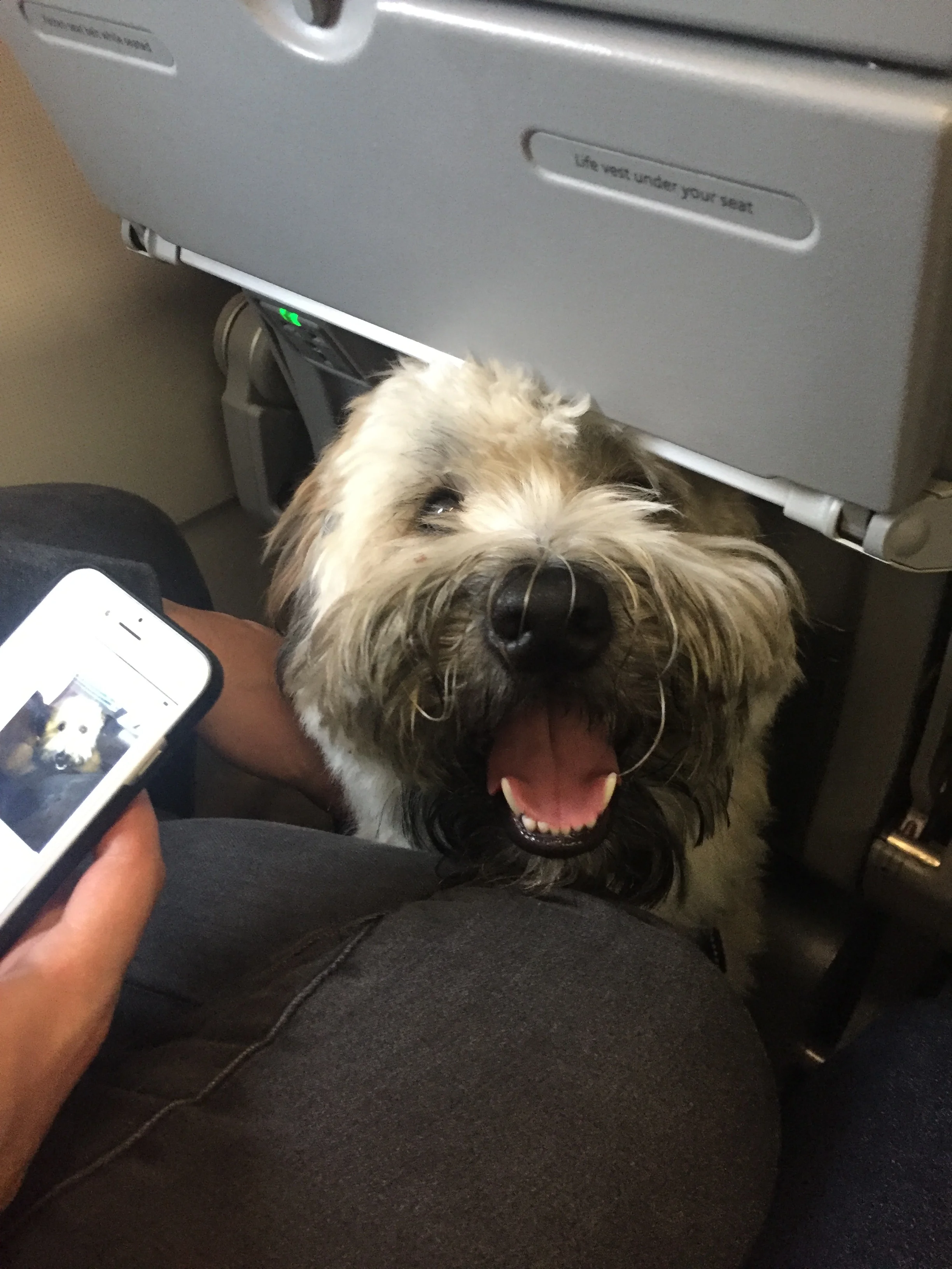 Start Spreading The News