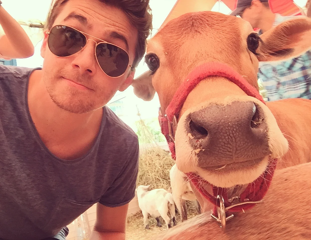 Won't You Take Me To West Hollywood