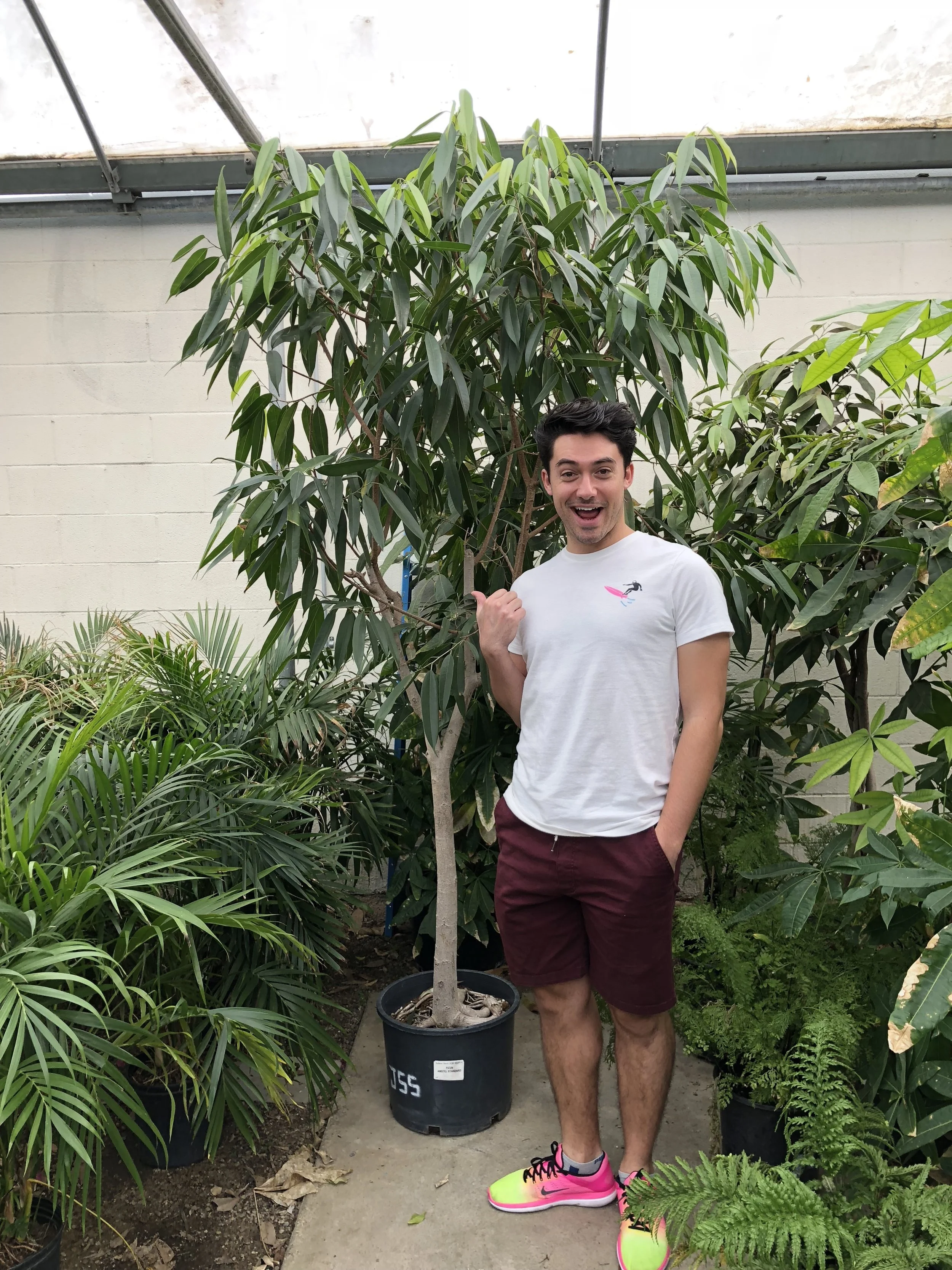 Saying "I Do" To Some Plants