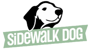 sidewalk dog.png