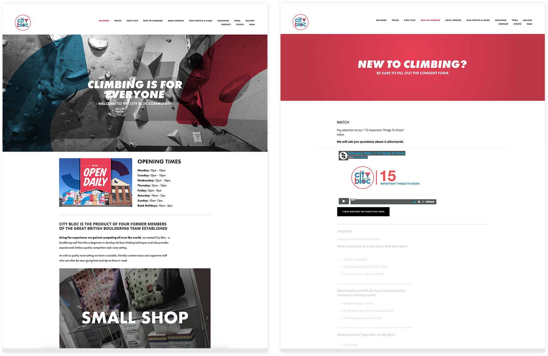 Website Mockup 2.png