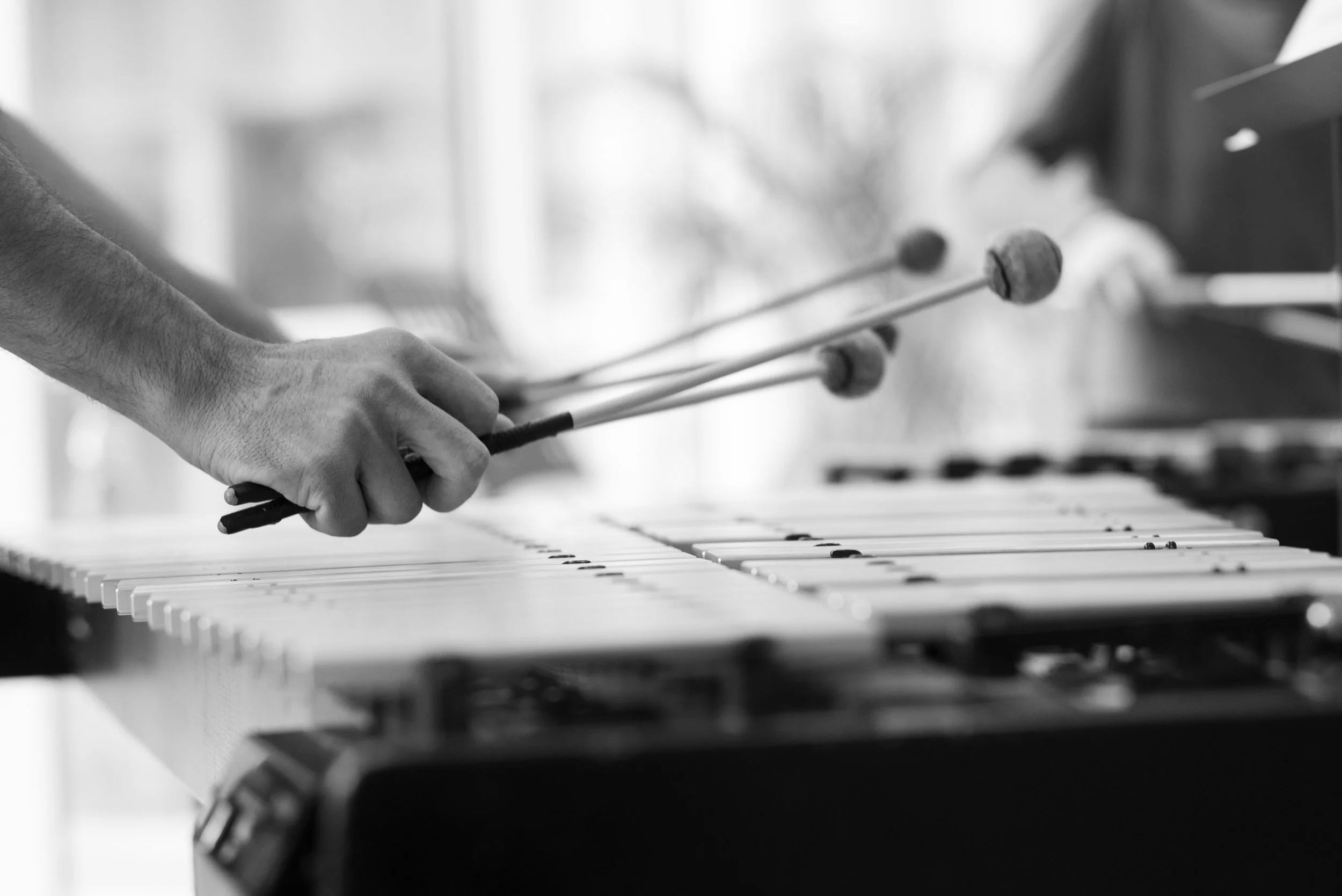 Zamoyski@Kwadrofonik_ostinato_2269.jpg