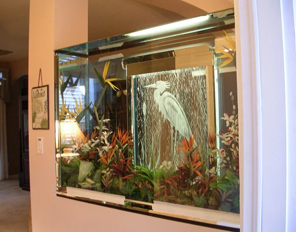 terrarium_water_heron.jpg