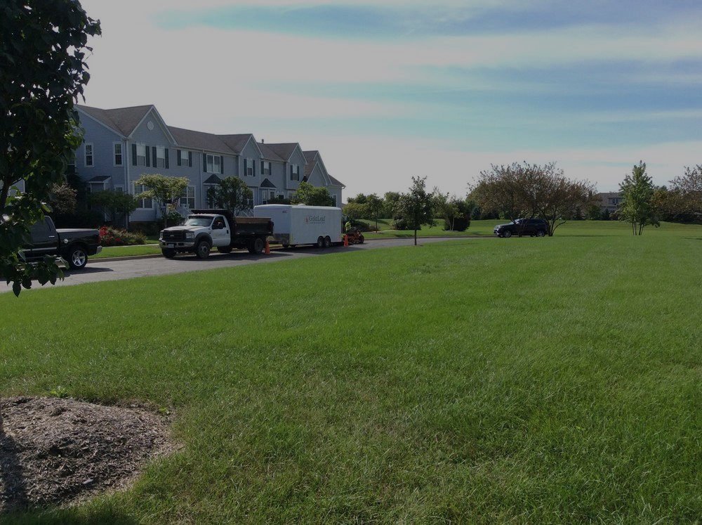 Commercial Landscaping Maintenance Banner.jpg