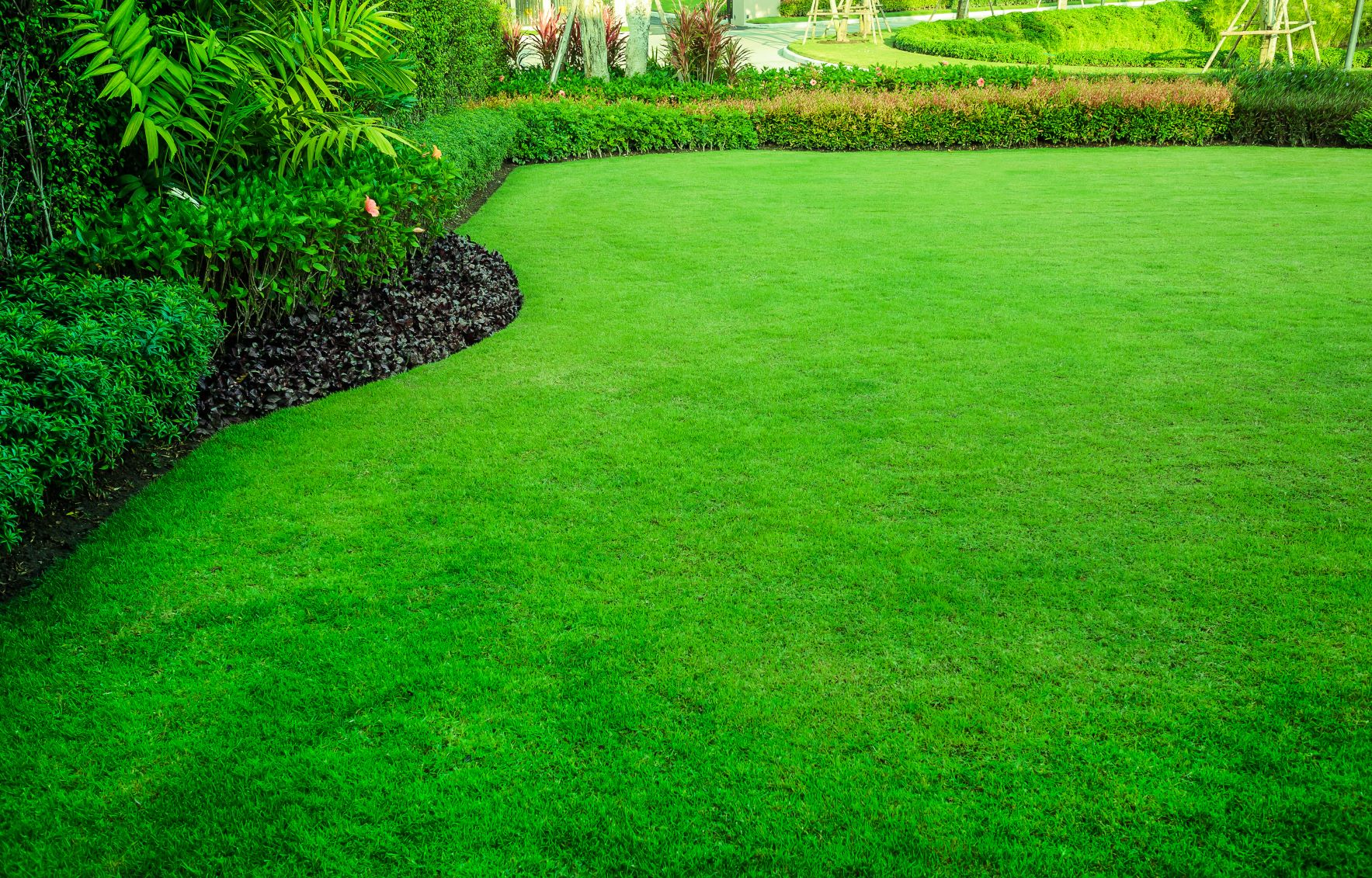 Preparing for Sod Installation in Naperville, IL.jpeg