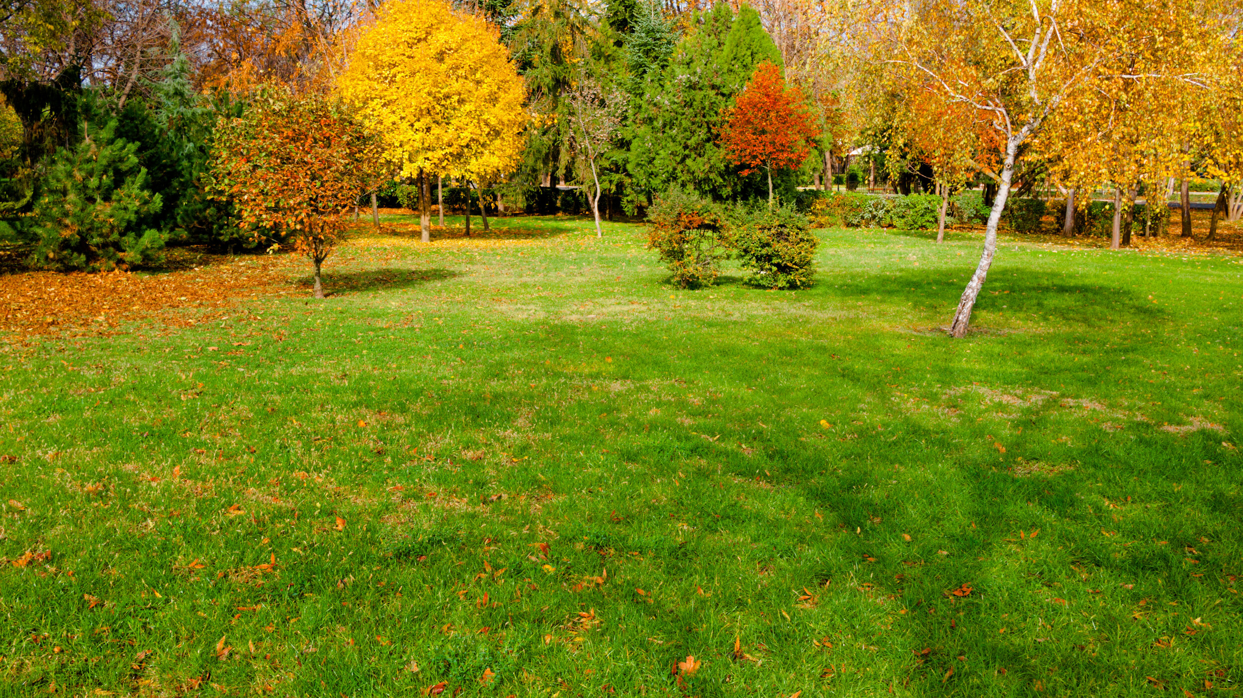 What Is Included In Fall Clean Up With, Fall Clean Up Landscaping