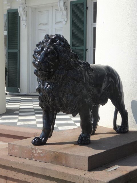 Morven Park Lions