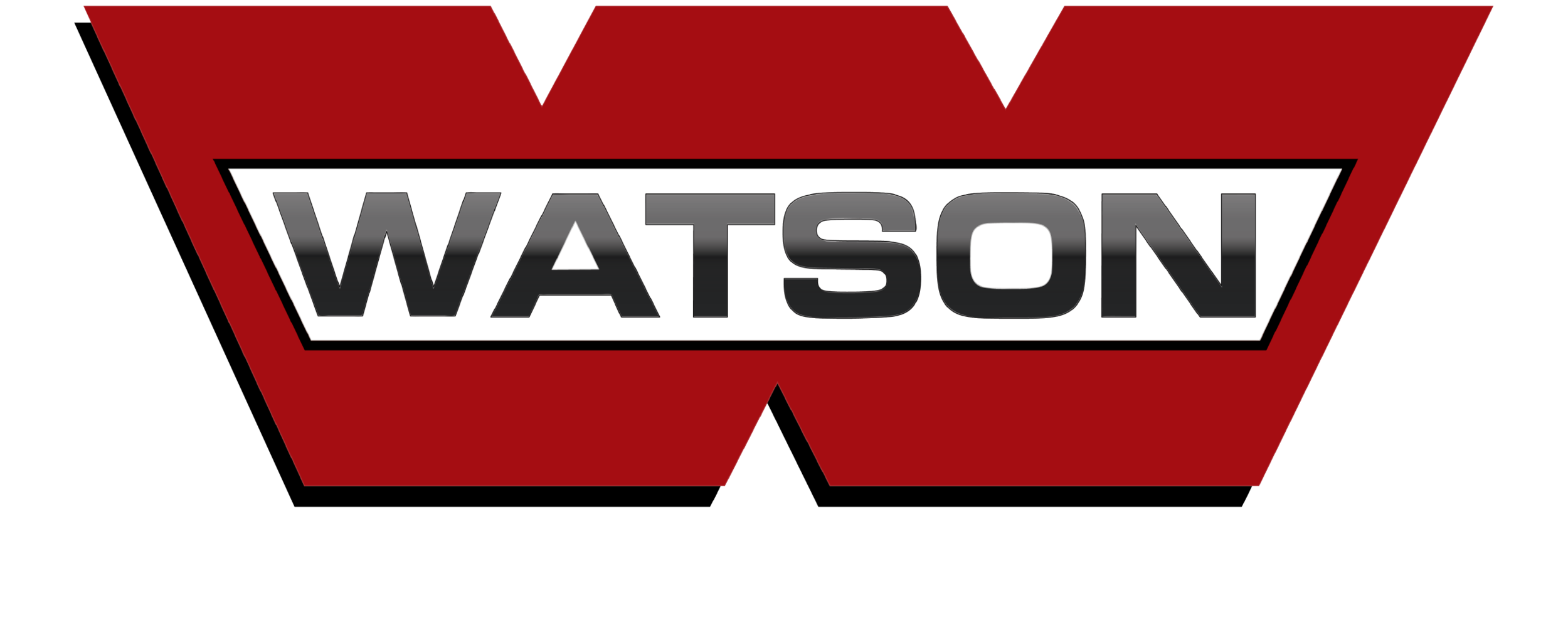 Watson Realty (WHITE) LOGO.png