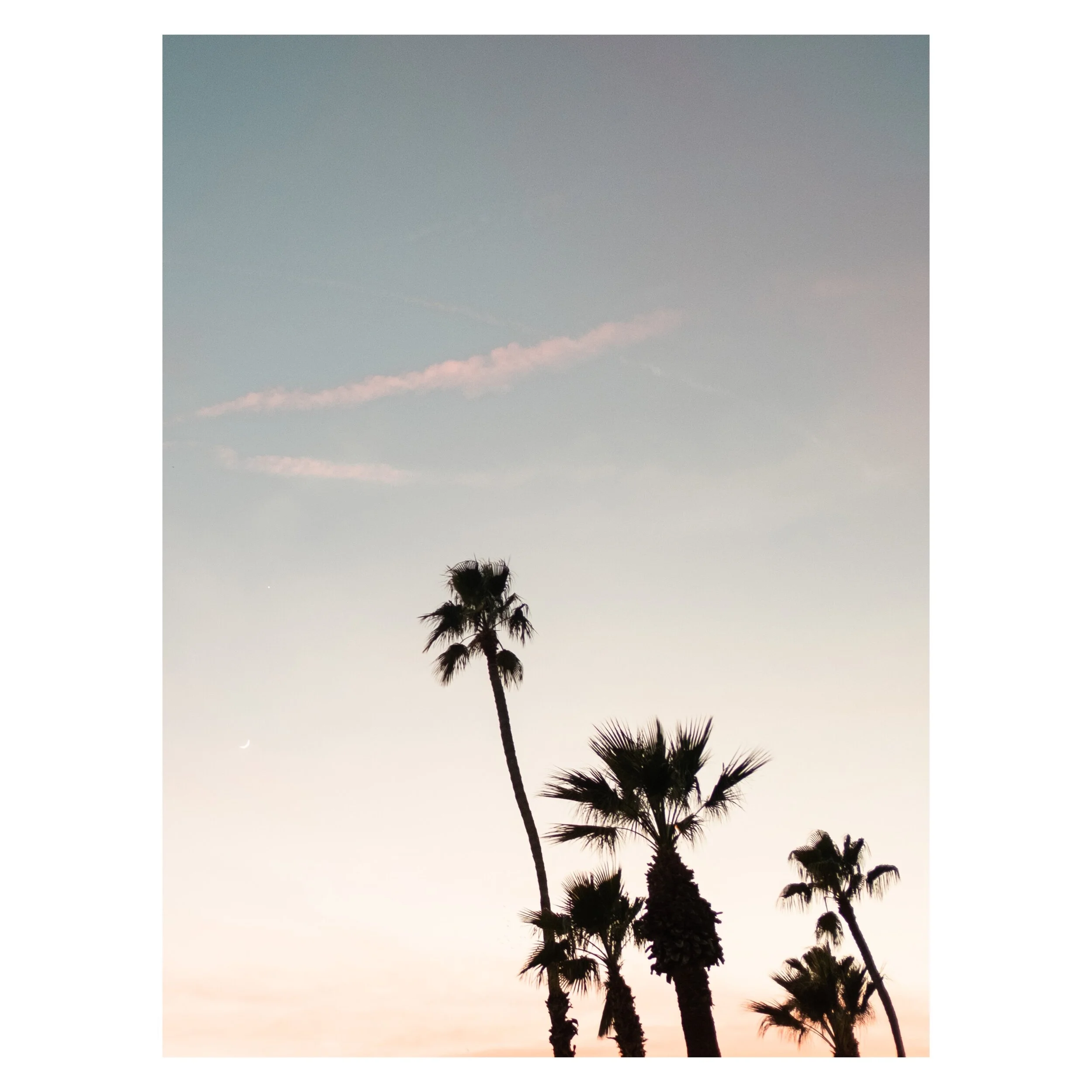 Whitagram-Image 4.JPG