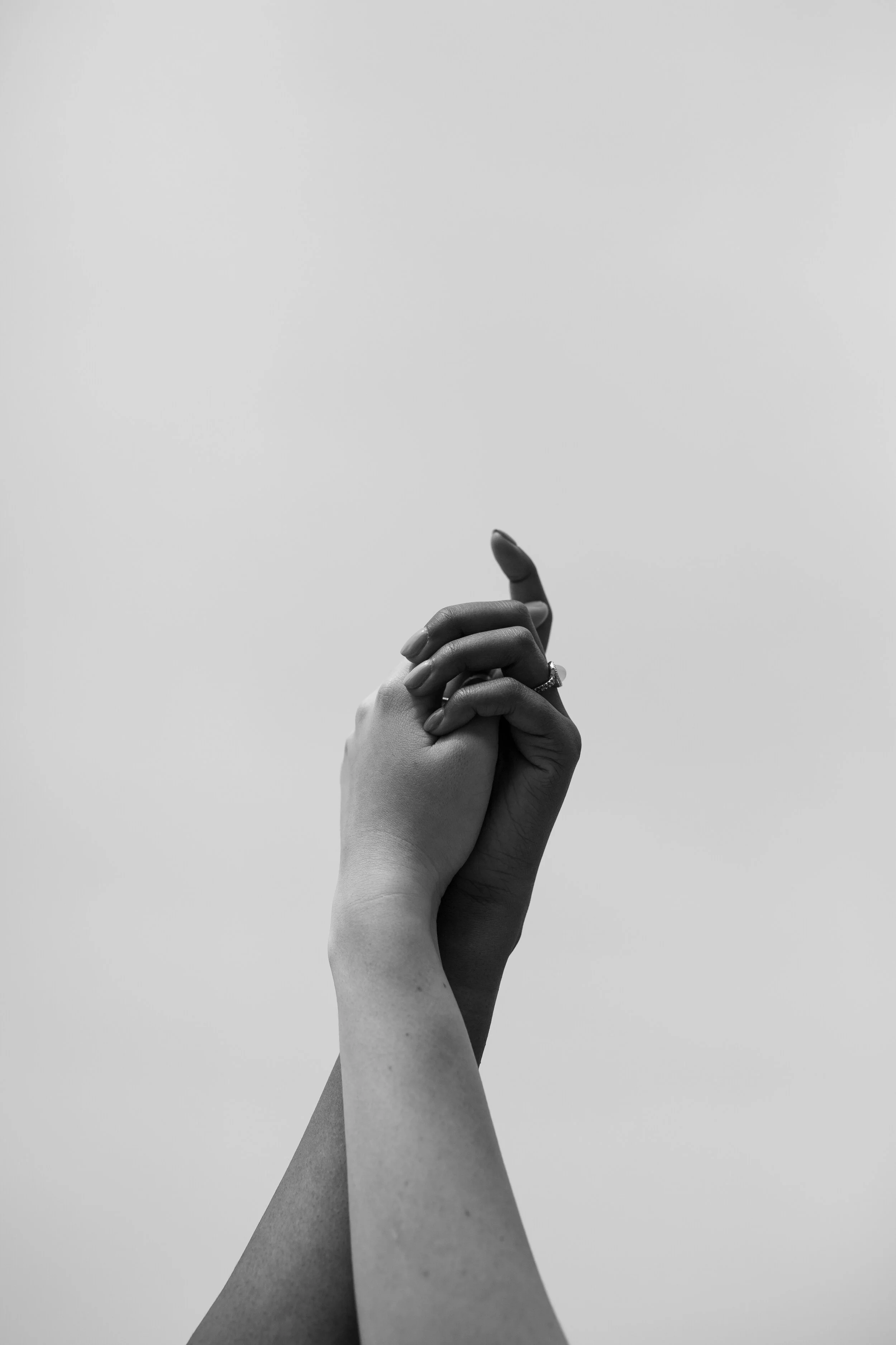 AV2A7035.jpg