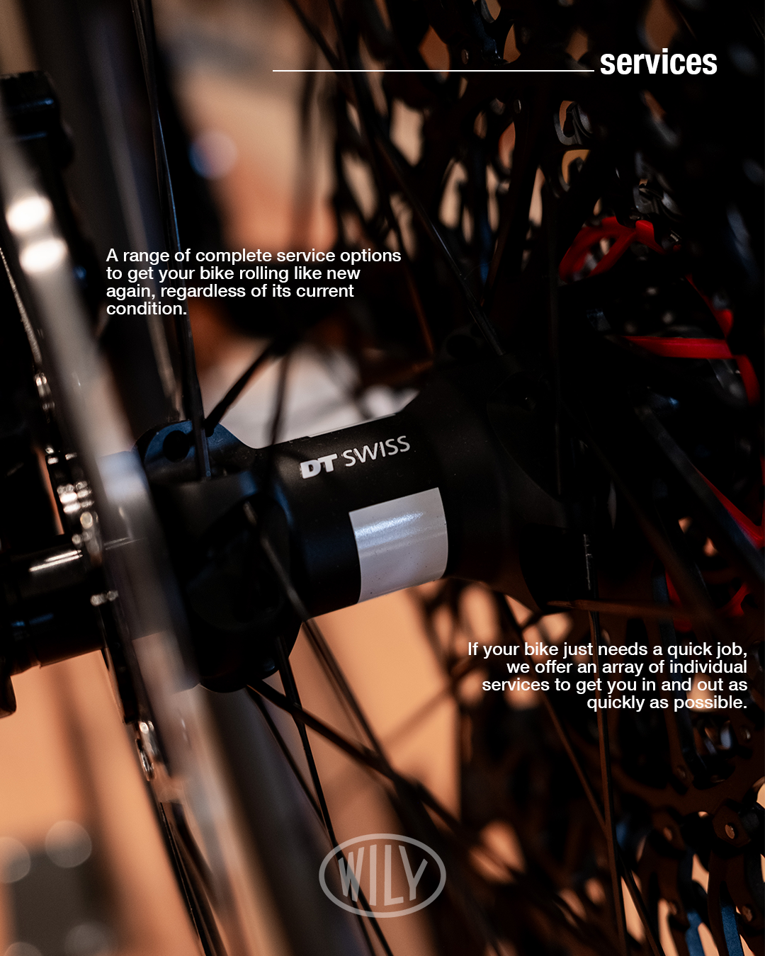 Wily_IG_Portrait copy 3.png