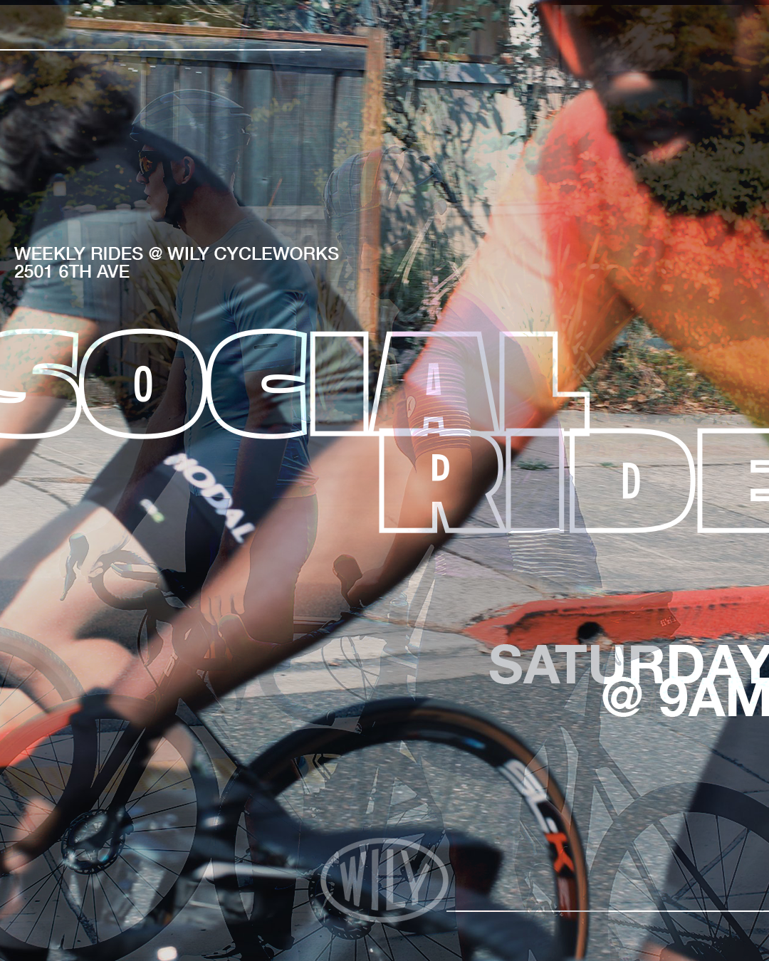 Wily_IG_Portrait copy.png