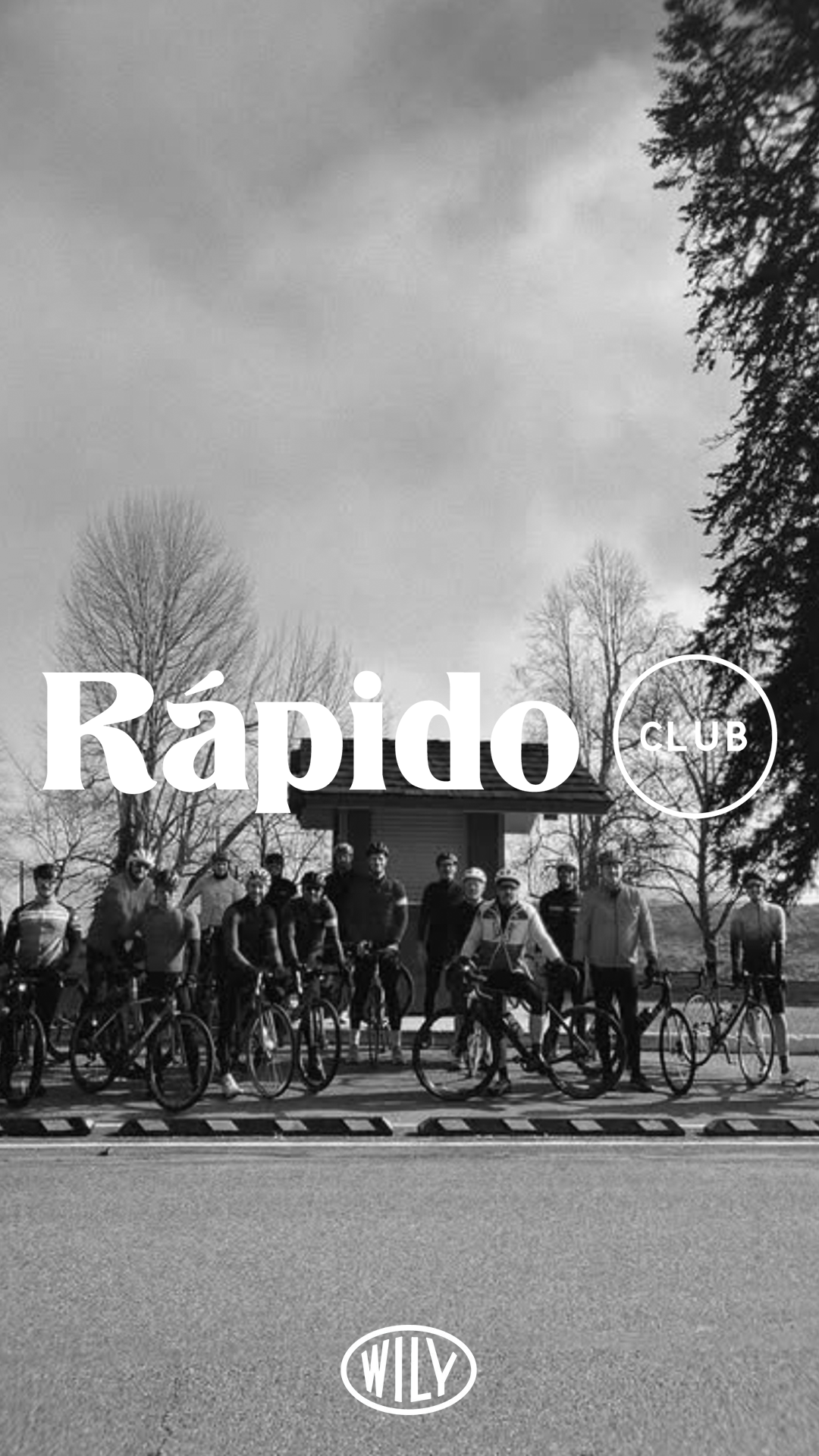 Wily_IG_Stories_Reels copy 2.png