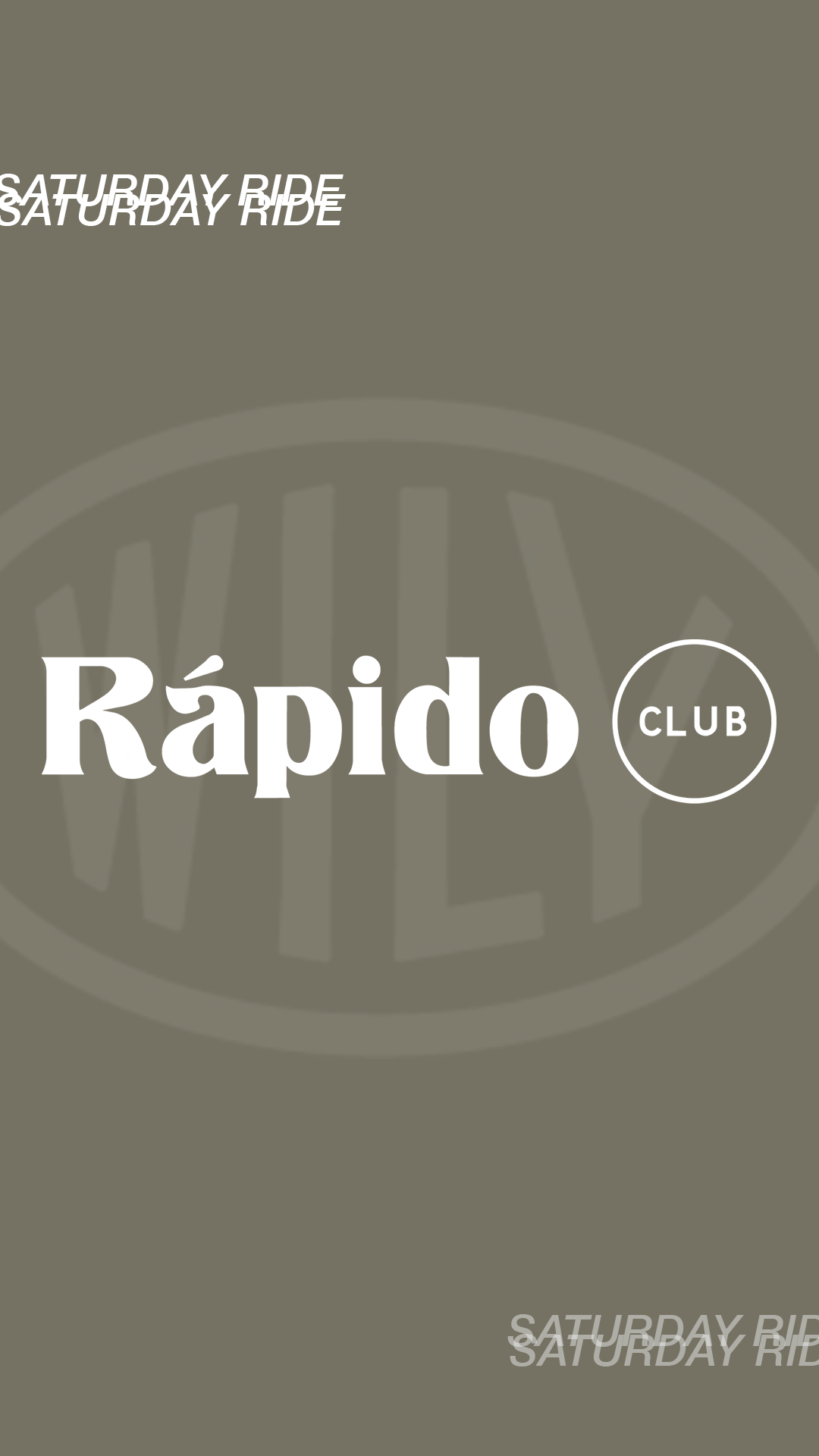 Wily_IG_Stories_Reels copy 3.png