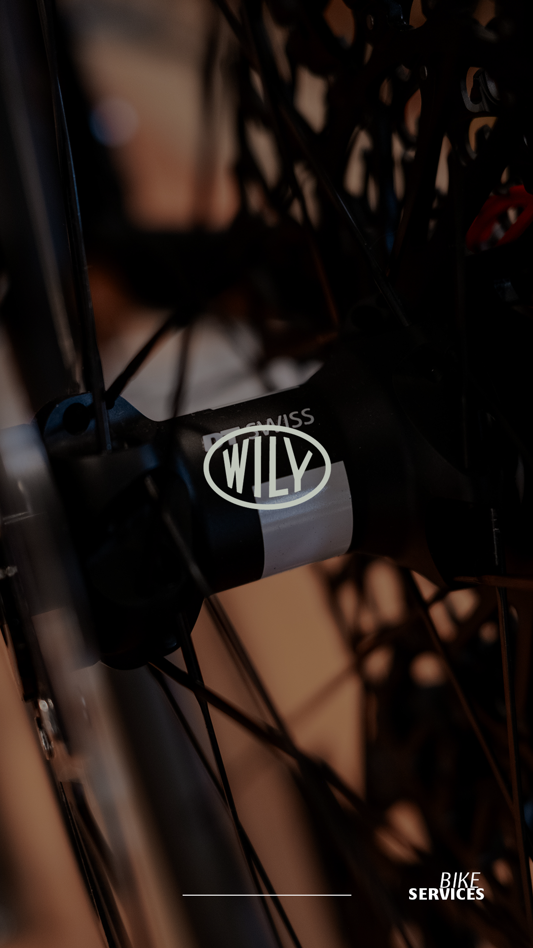 Wily_IG_Stories_Reels copy 4.png