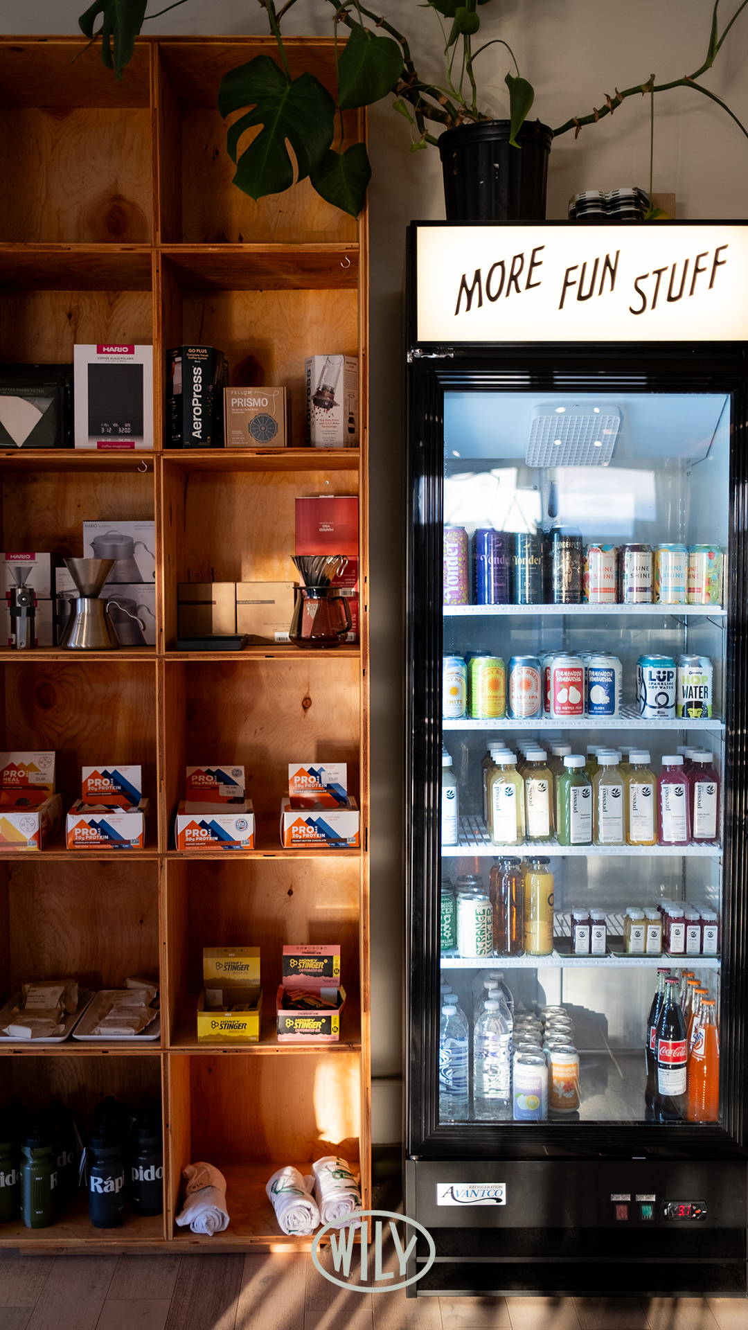 Wily_IG_Stories_Reels copy 5.png