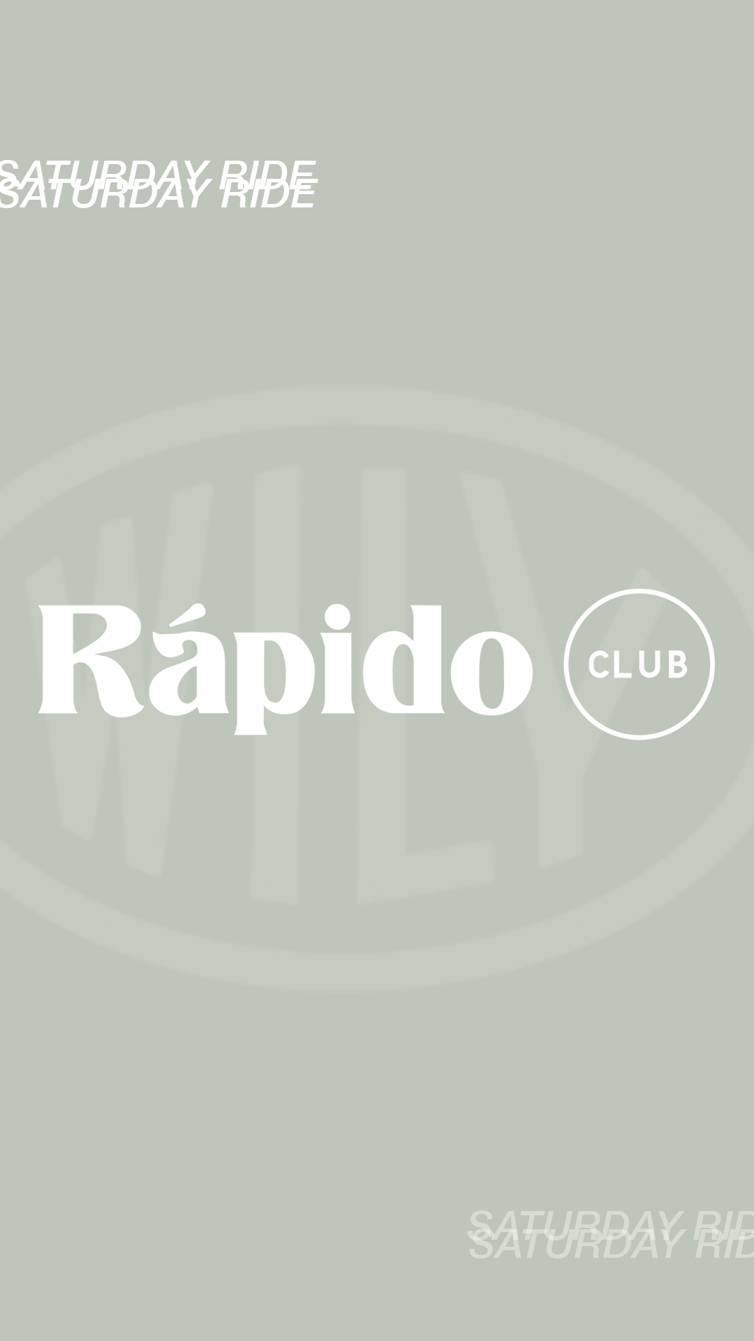 Wily_IG_Stories_Reels copy 7.png