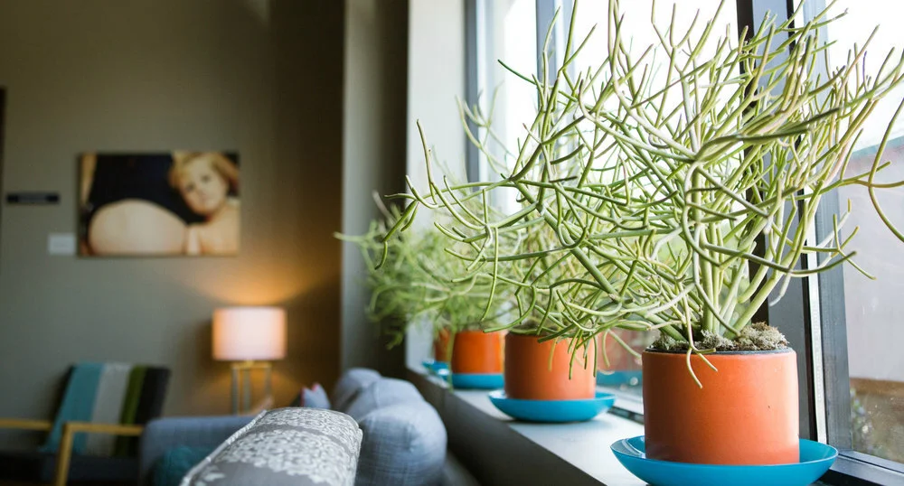 Spinning Babies Blooma