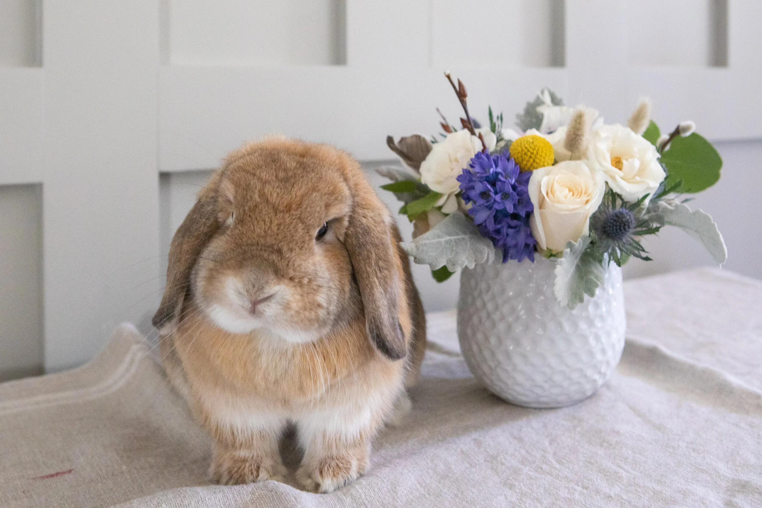 merrilyblooms easter 2021 smaller files-28.jpg