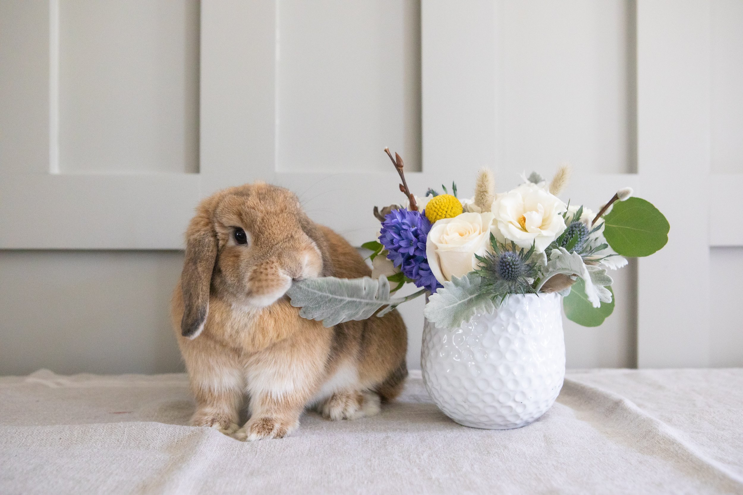 merrilyblooms easter 2021 smaller files-30.jpg