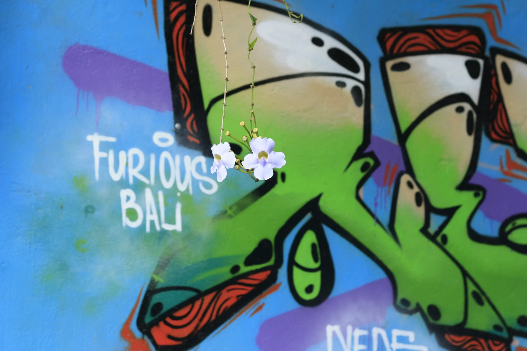 Digital nomad life in Ubud