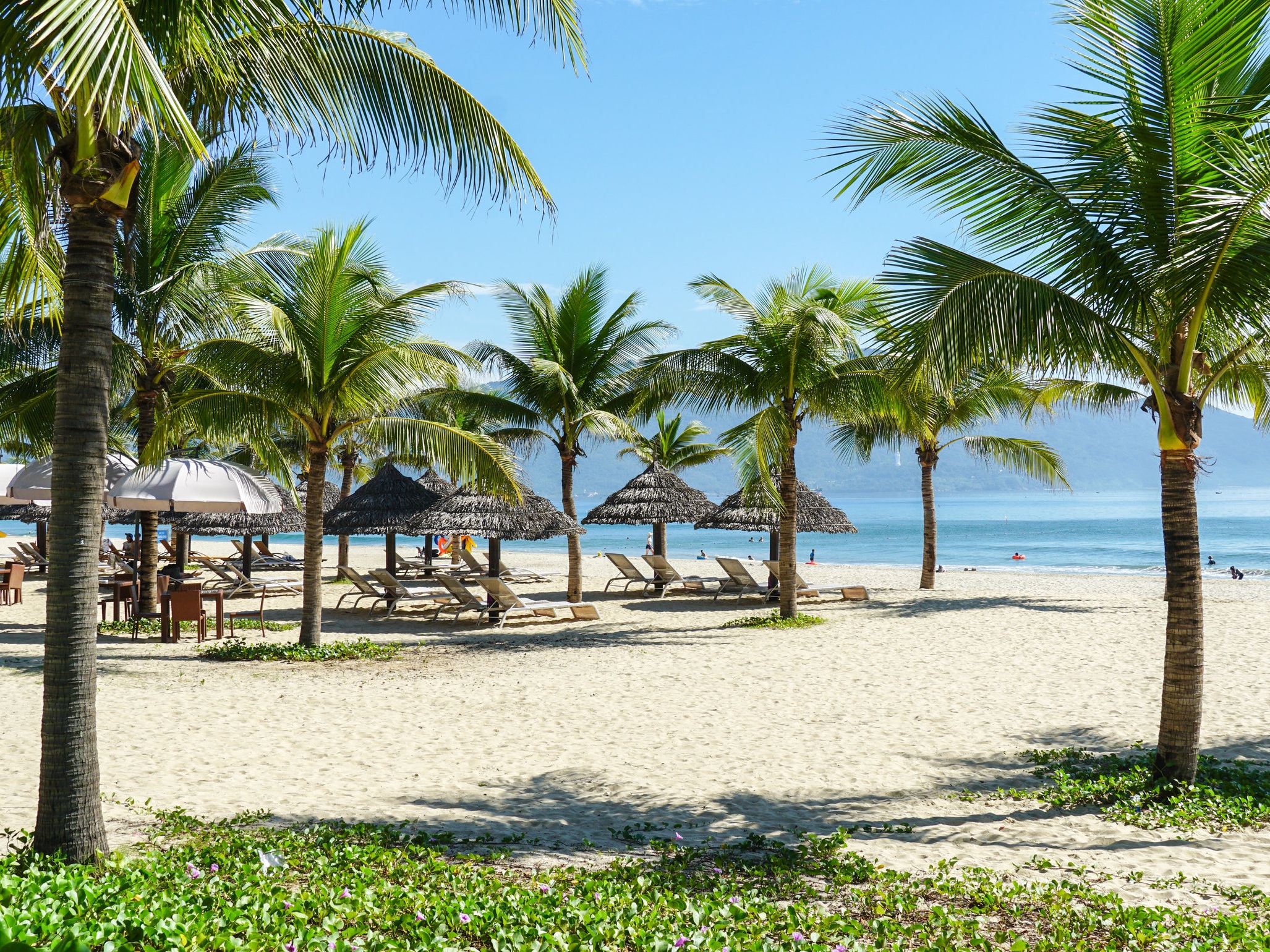 Digital Nomad Da Nang