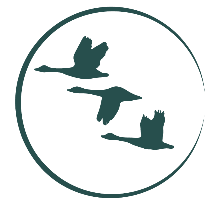 green circle with three geese flying logo with the yellow words now hiring over it