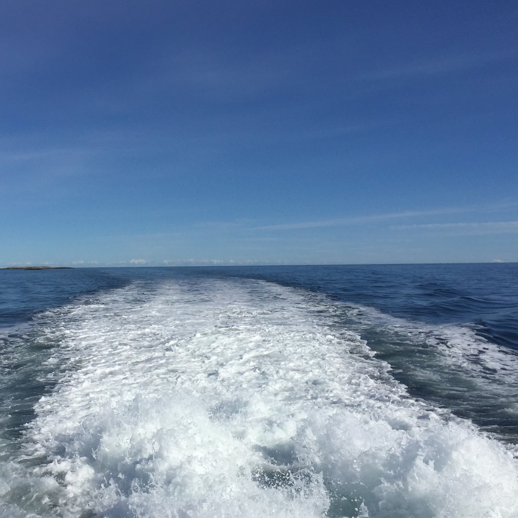 IMG_1269.jpeg