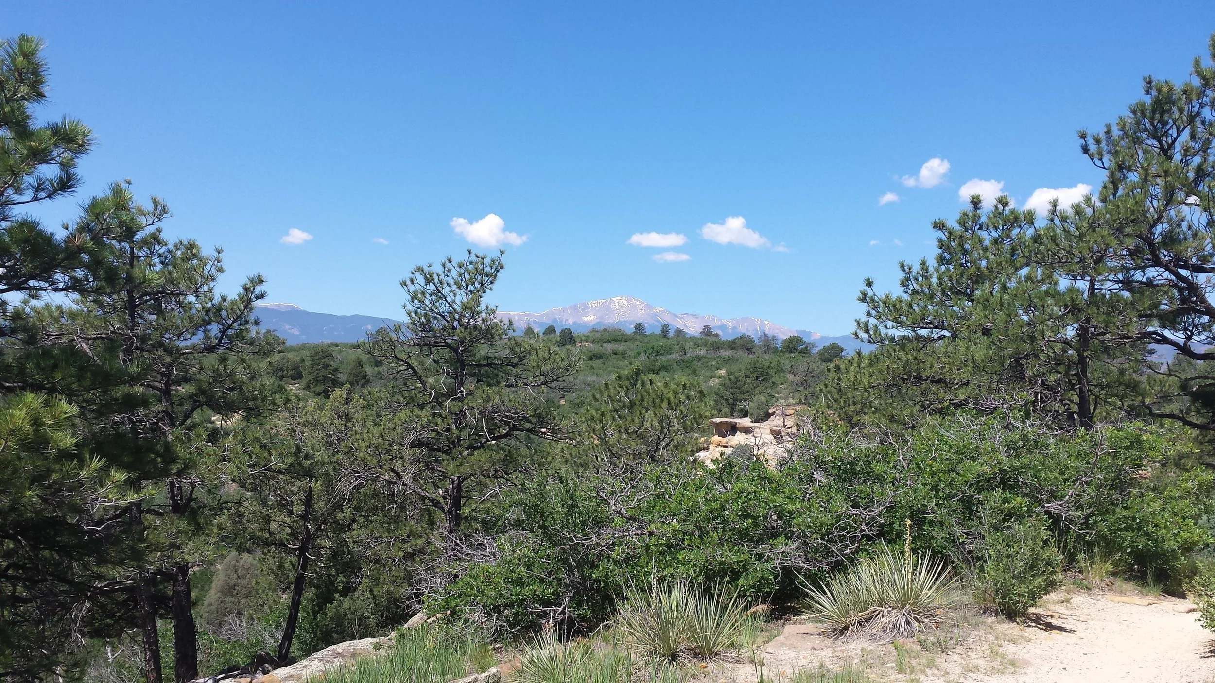 20150627_111706.jpg