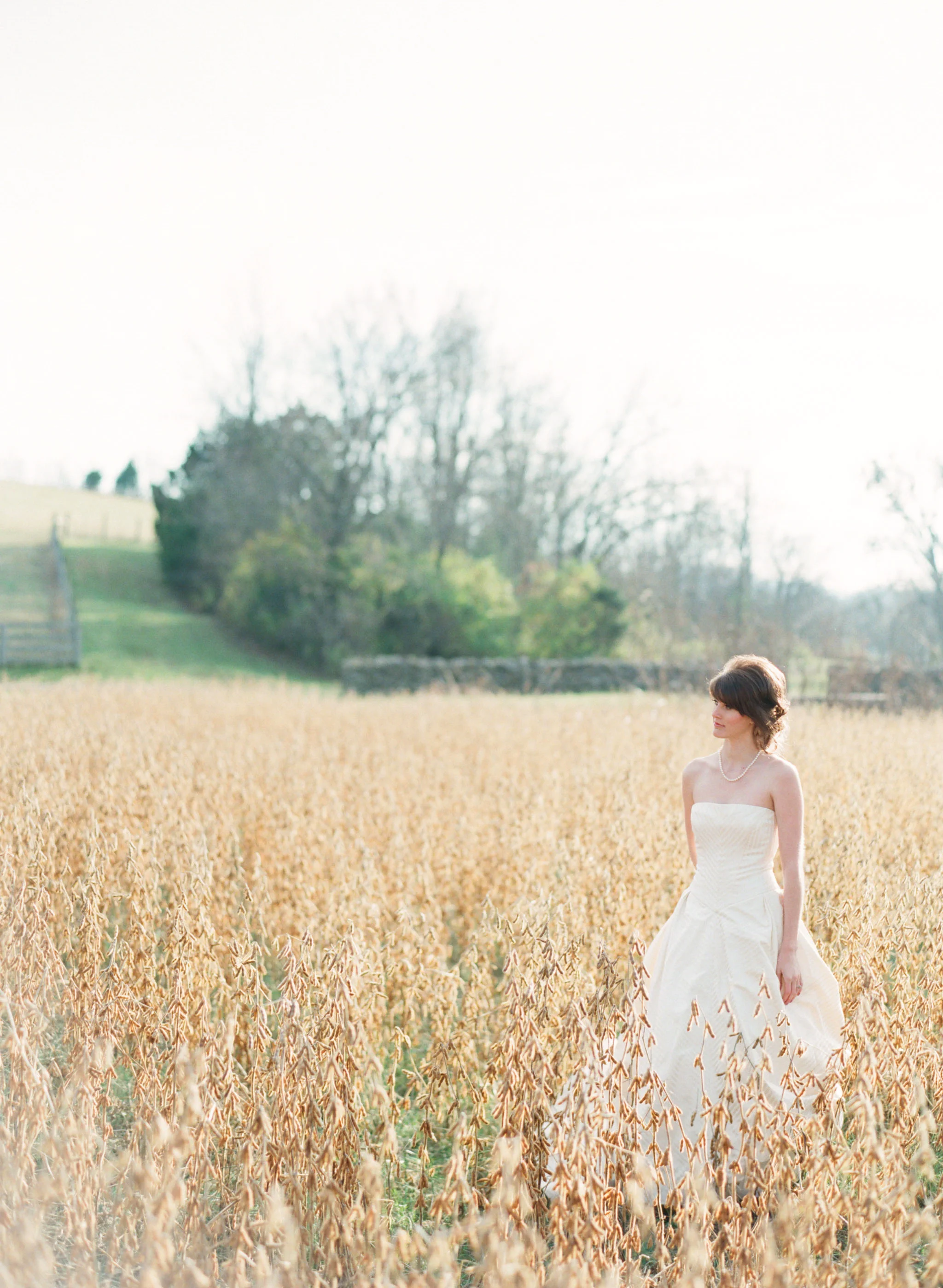 Michelle-Field-Nina _ Wes.jpg