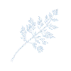 BWB Favicon.png