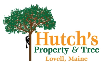 Hutch's Tree