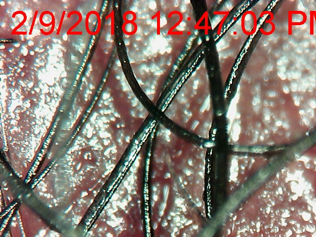 98cb2440-384c-11e8-809d-23ba0ce9ba5e.jpeg