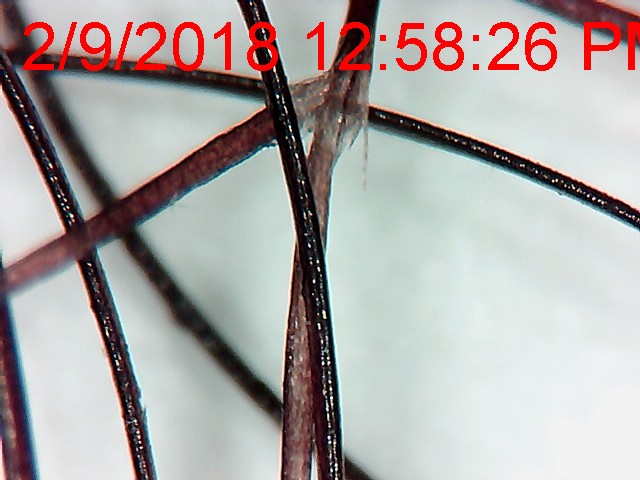 a41f6130-384c-11e8-809d-23ba0ce9ba5e.jpeg