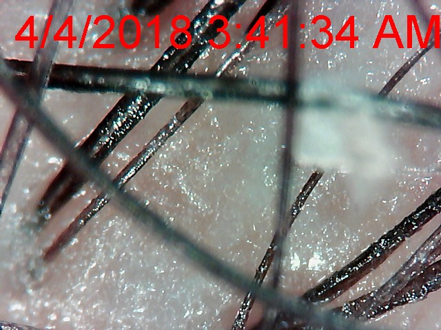 a41f6130-384c-11e8-809d-23ba0ce9ba5e.jpeg
