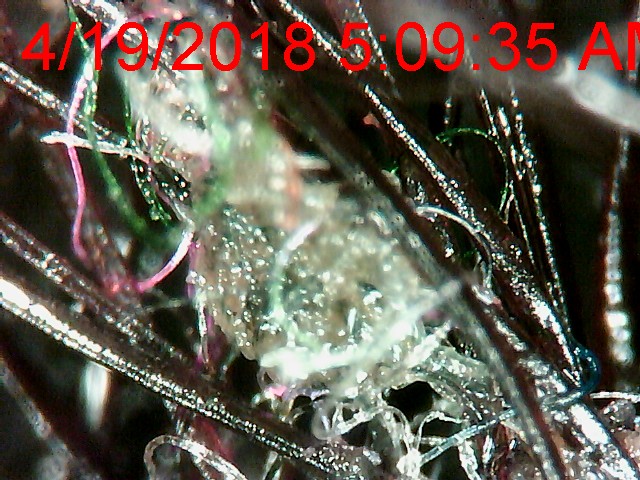 7ae3cfc0-4cb2-11e8-809d-23ba0ce9ba5e.jpeg