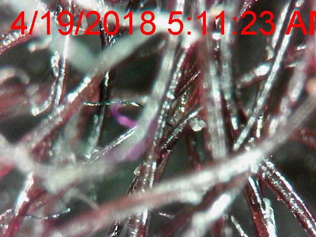5cc6c420-4cb2-11e8-809d-23ba0ce9ba5e.jpeg