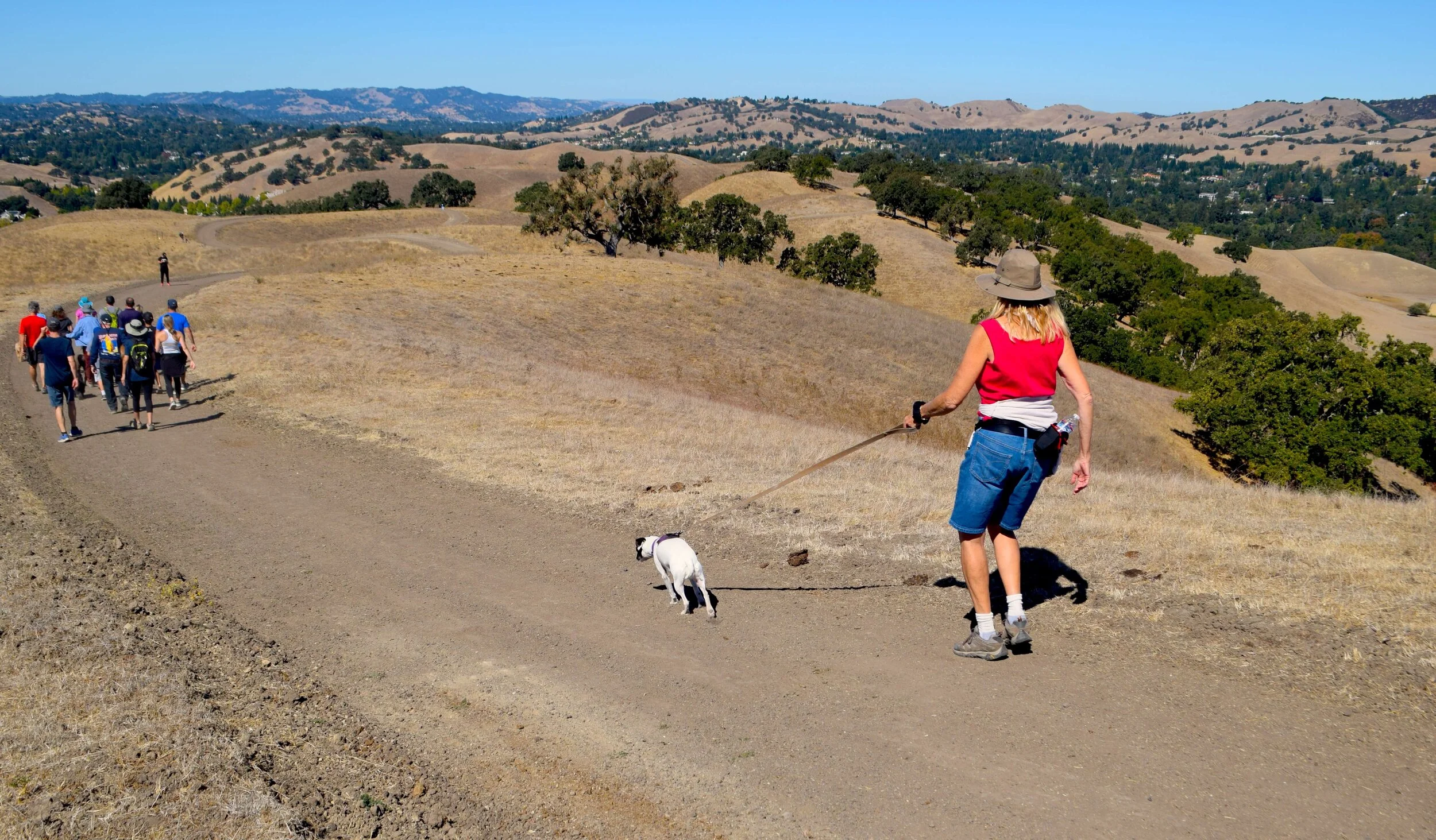 magee-preserve--tails-on-trails-dog-walk-_48953887102_o.jpg