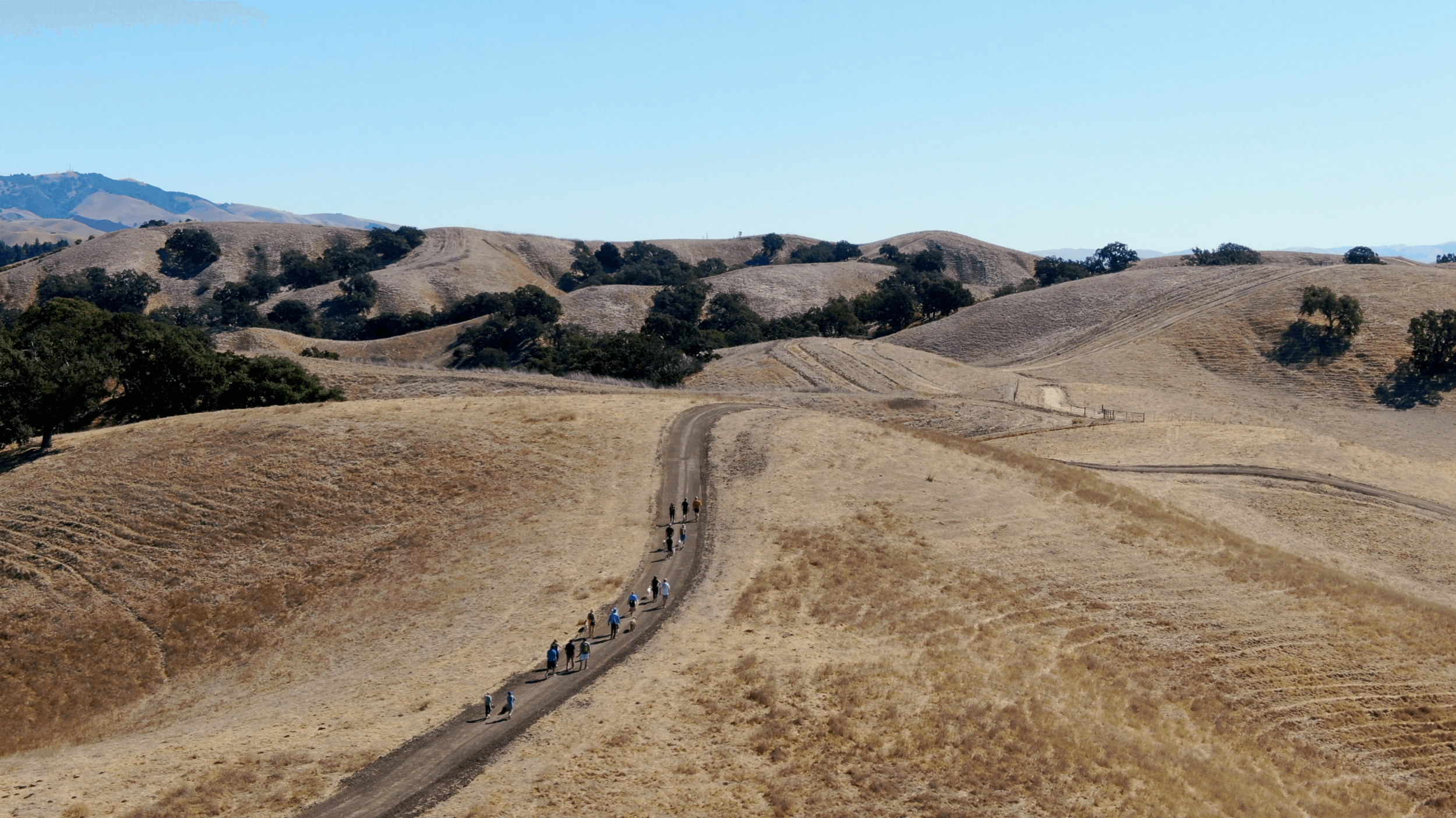 drone-1_48953991442_o.png