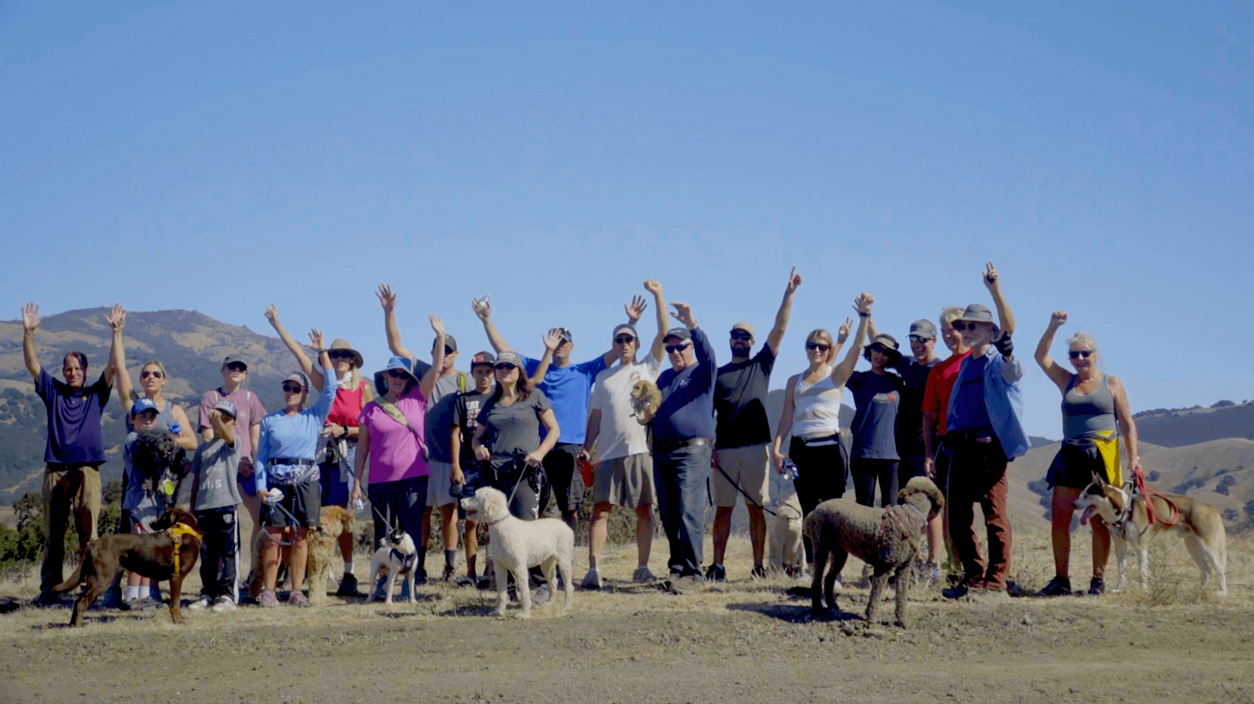 group-1_48953989532_o.png