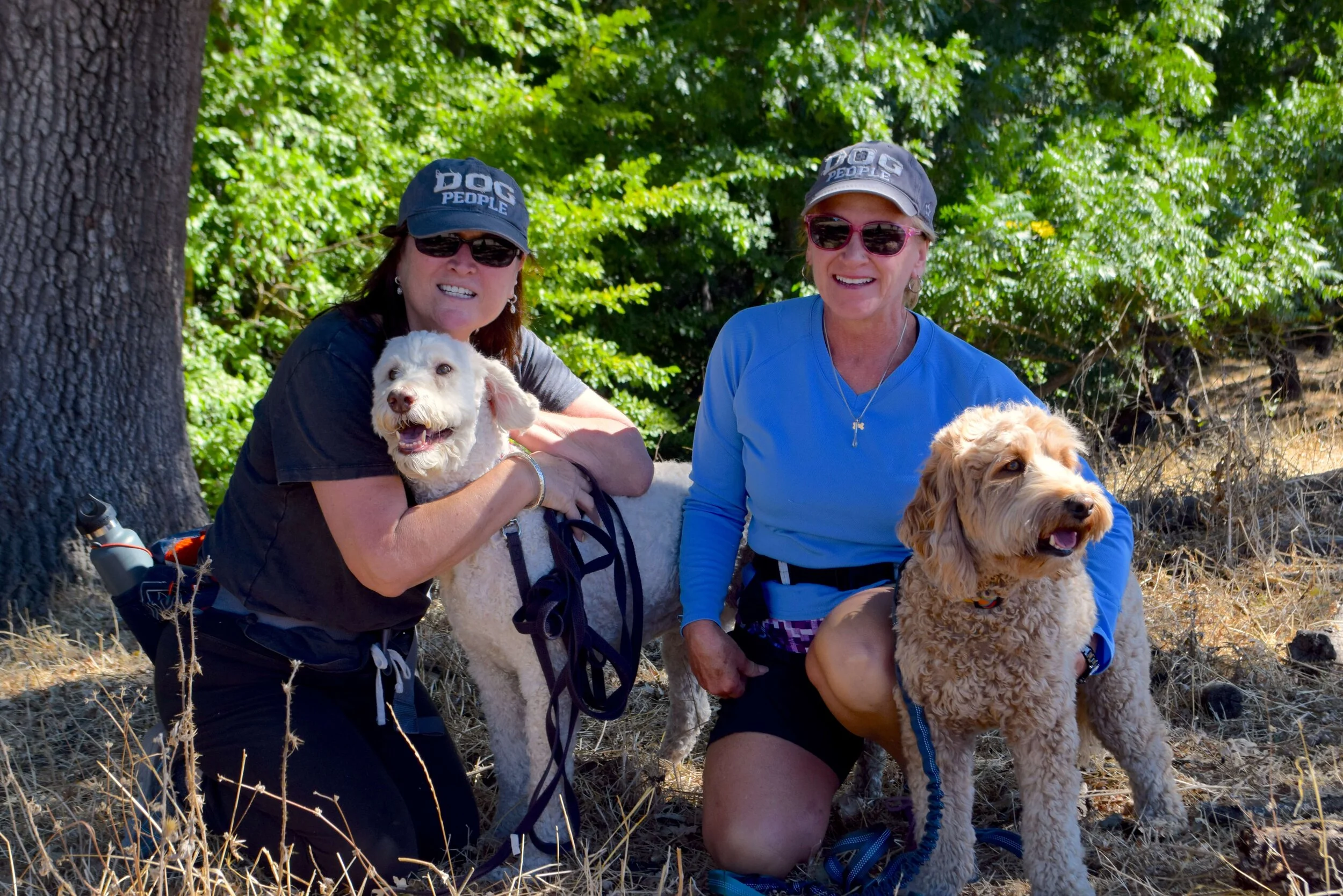 magee-preserve--tails-on-trails-dog-walk-_48953133688_o.jpg