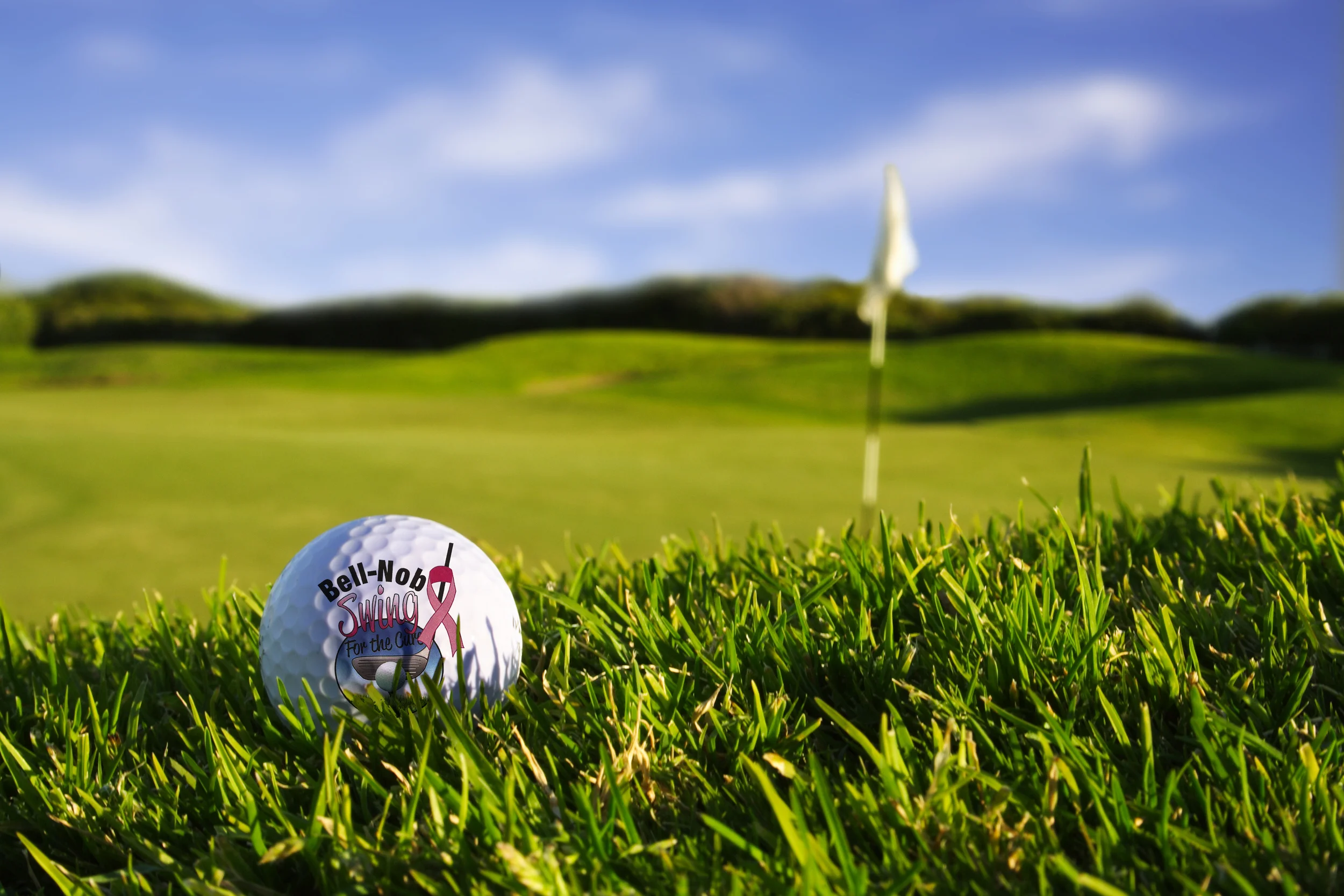 AdobeStock_1079122.jpg
