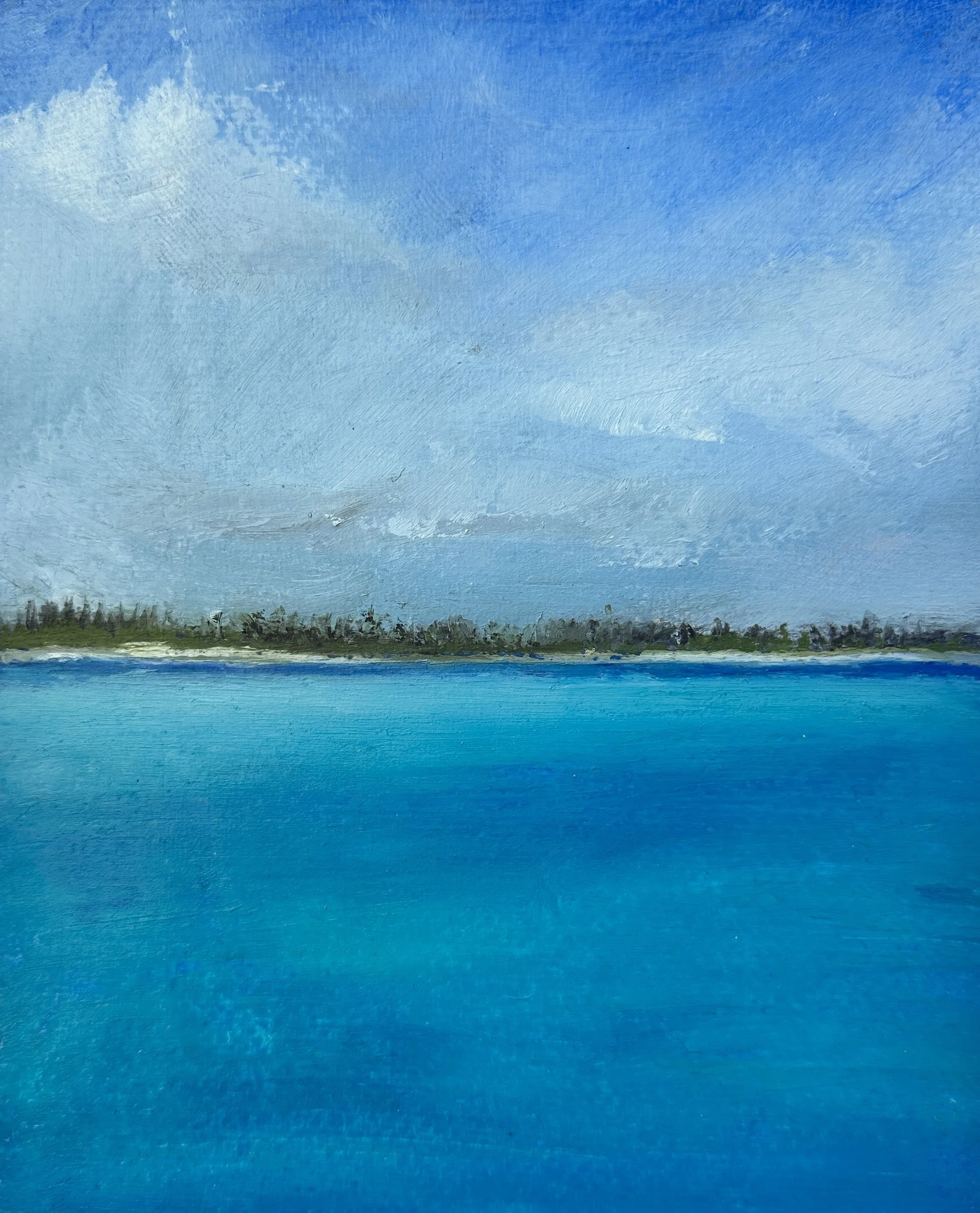 Anegada, BVI website.jpeg