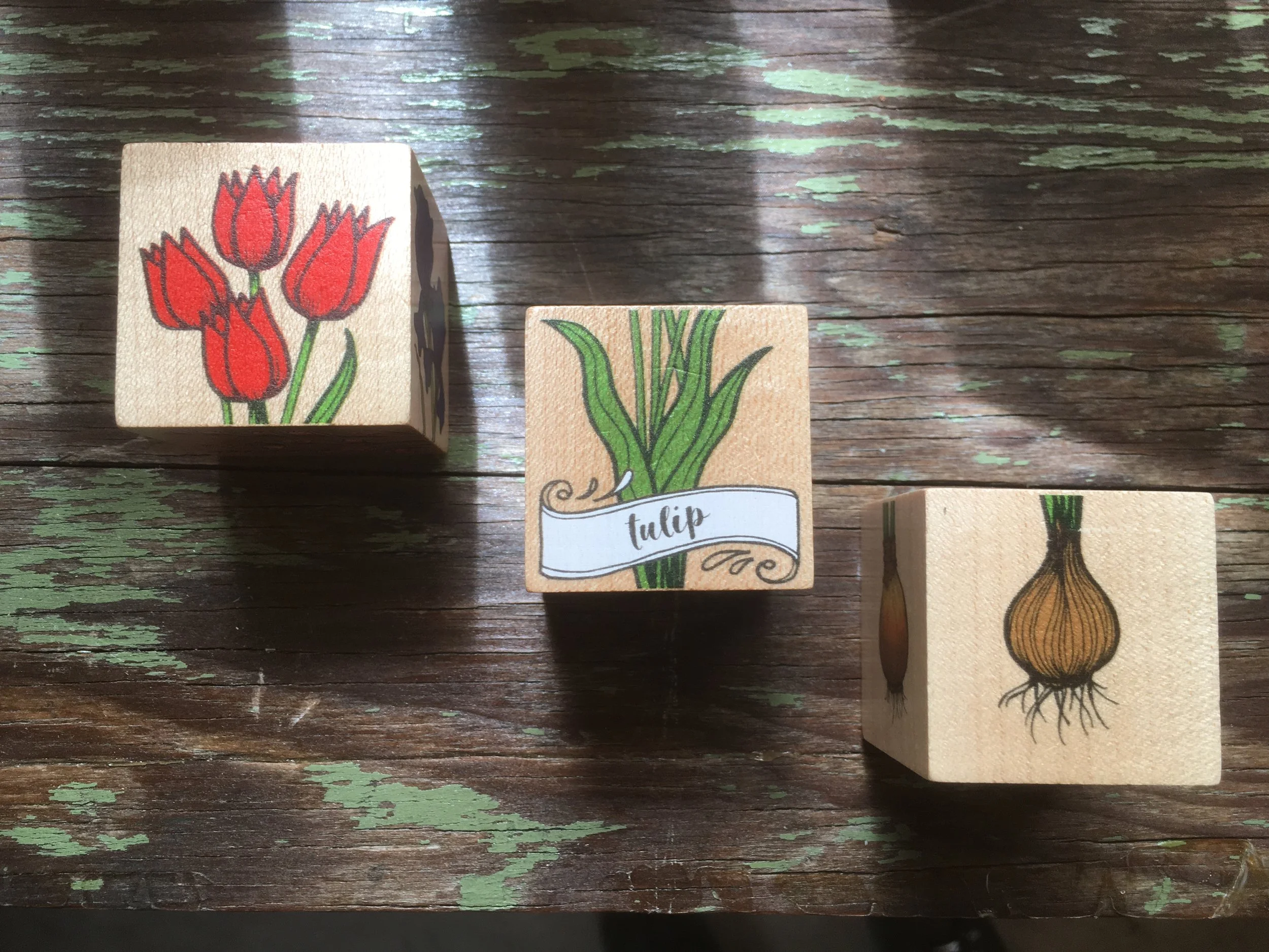 Blossoming Bulbs Blocks